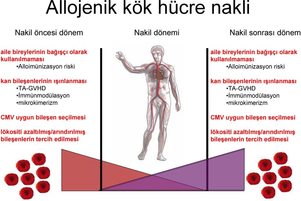 azaltılmış/arındırılmış bileşenlerin tercih edilmesi aile bireylerinin bağışçı olarak kullanılmaması  azaltılmış/arındırılmış