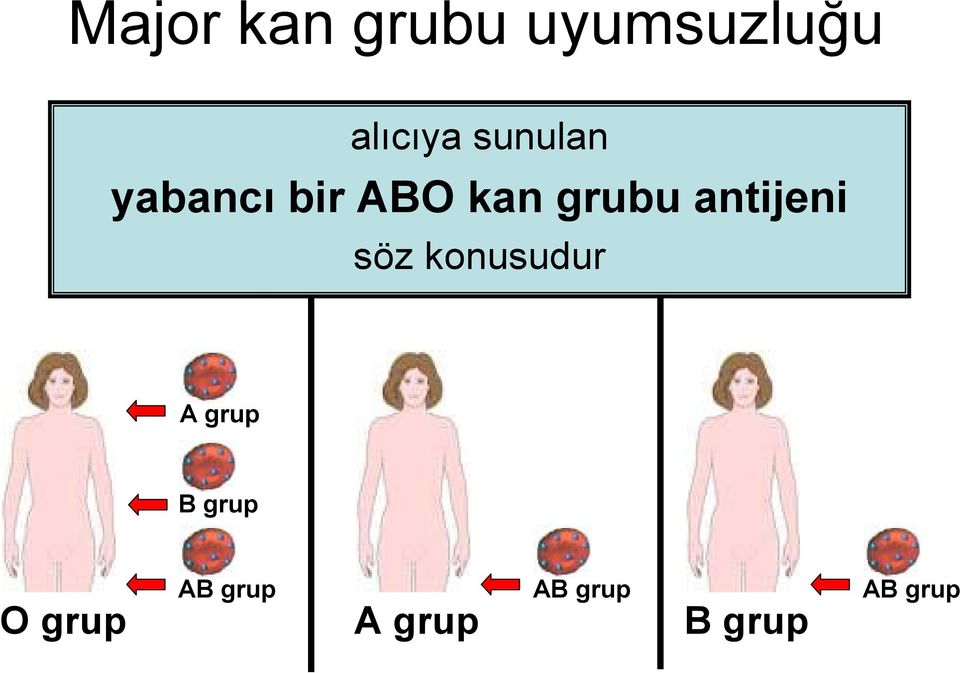 antijeni söz konusudur A grup B grup