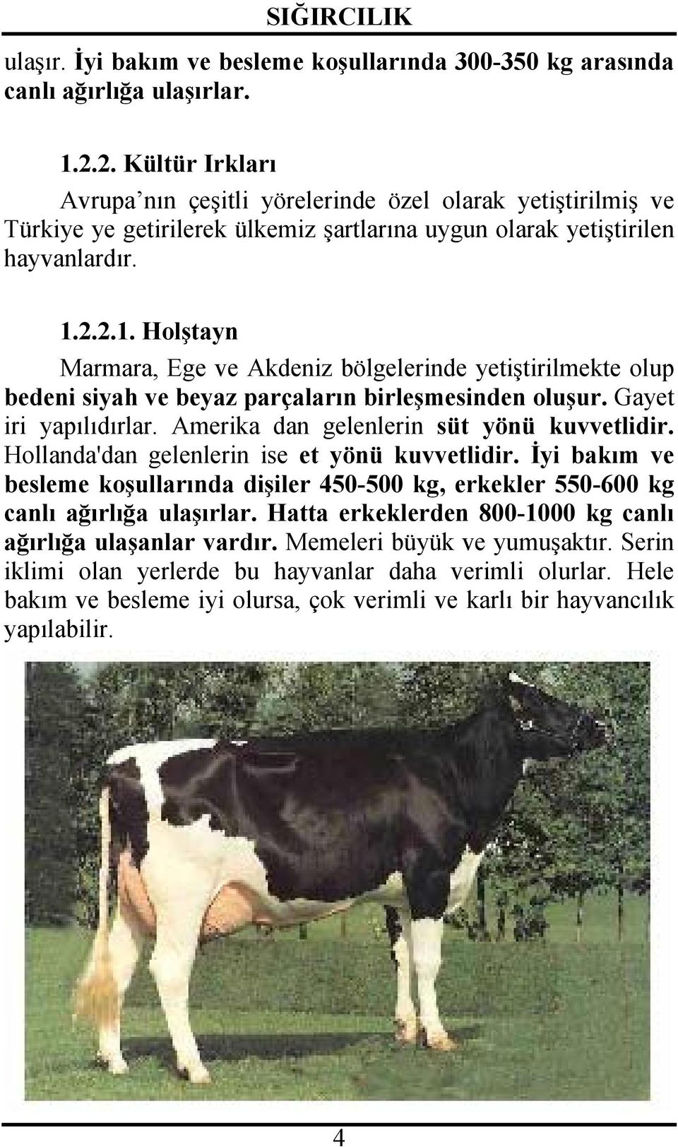 2.2.1. Holştayn Marmara, Ege ve Akdeniz bölgelerinde yetiştirilmekte olup bedeni siyah ve beyaz parçaların birleşmesinden oluşur. Gayet iri yapılıdırlar. Amerika dan gelenlerin süt yönü kuvvetlidir.