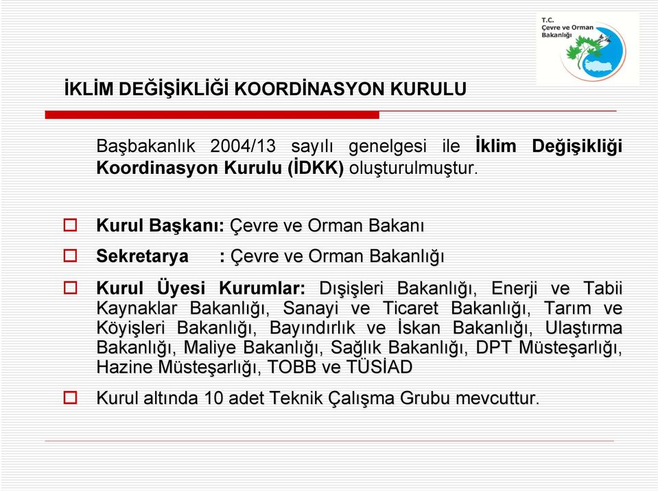 Bakanlığı ığı,, Sanayi ve Ticaret Bakanlığı ığı,, Tarım m ve Köyişlerileri Bakanlığı ığı,, Bayınd ndırlık k ve İskan Bakanlığı ığı,, Ulaştırma Bakanlığı