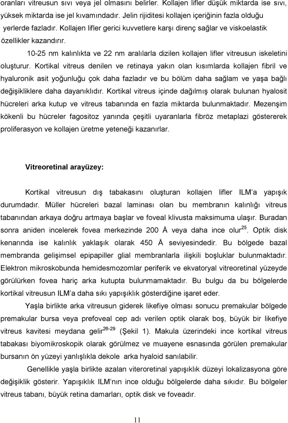 Kortikal vitreus denilen ve retinaya yakın olan kısımlarda kollajen fibril ve hyaluronik asit yoğunluğu çok daha fazladır ve bu bölüm daha sağlam ve yaşa bağlı değişikliklere daha dayanıklıdır.