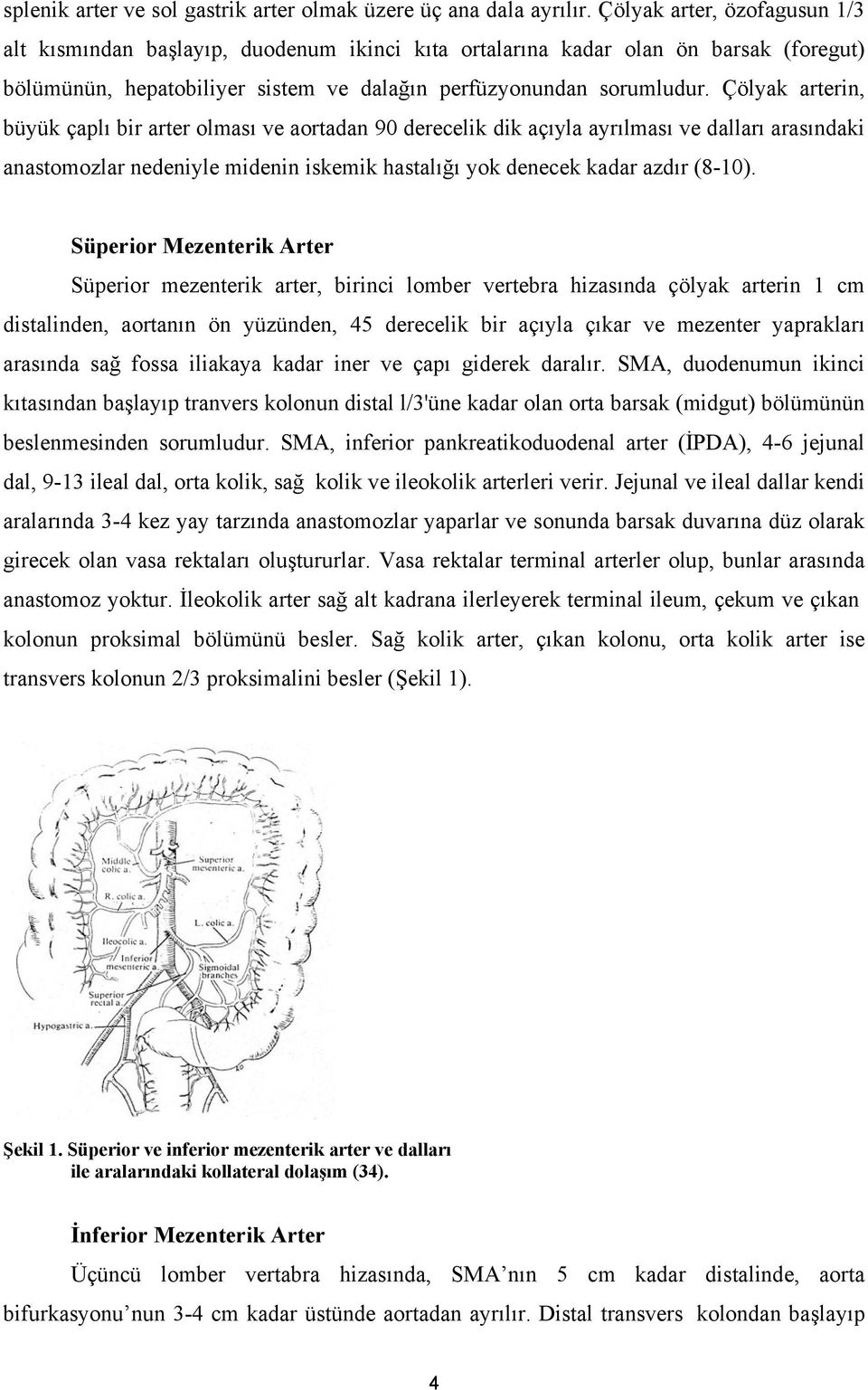 Çölyak arterin, büyük çaplı bir arter olması ve aortadan 90 derecelik dik açıyla ayrılması ve dalları arasındaki anastomozlar nedeniyle midenin iskemik hastalığı yok denecek kadar azdır (8-10).