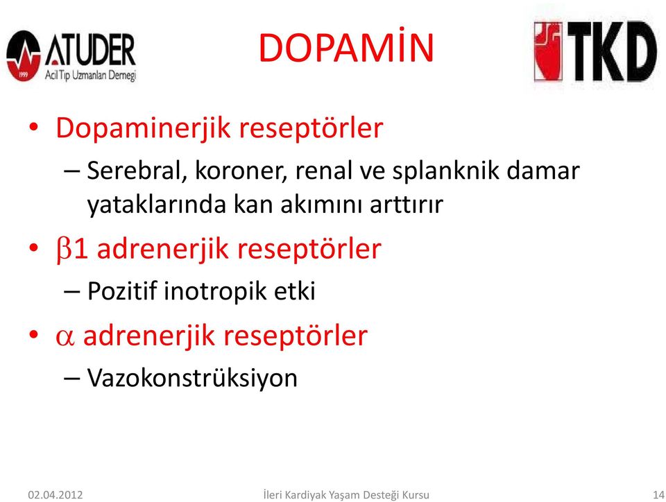 adrenerjik reseptörler Pozitif inotropik etki α adrenerjik