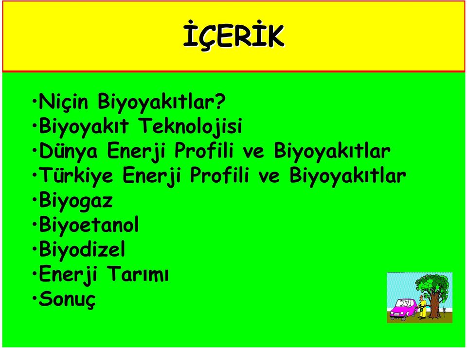 ve Biyoyakıtlar Türkiye Enerji Profili ve