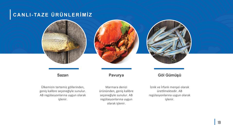 Marmara denizi ürününden, geniş  İznik ve İrfanlı menşei olarak üre5lmektedir.