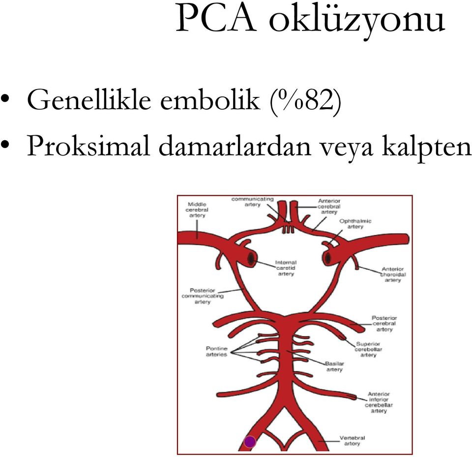 (%82) Proksimal