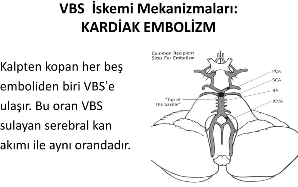 emboliden biri VBS e ulaşır.