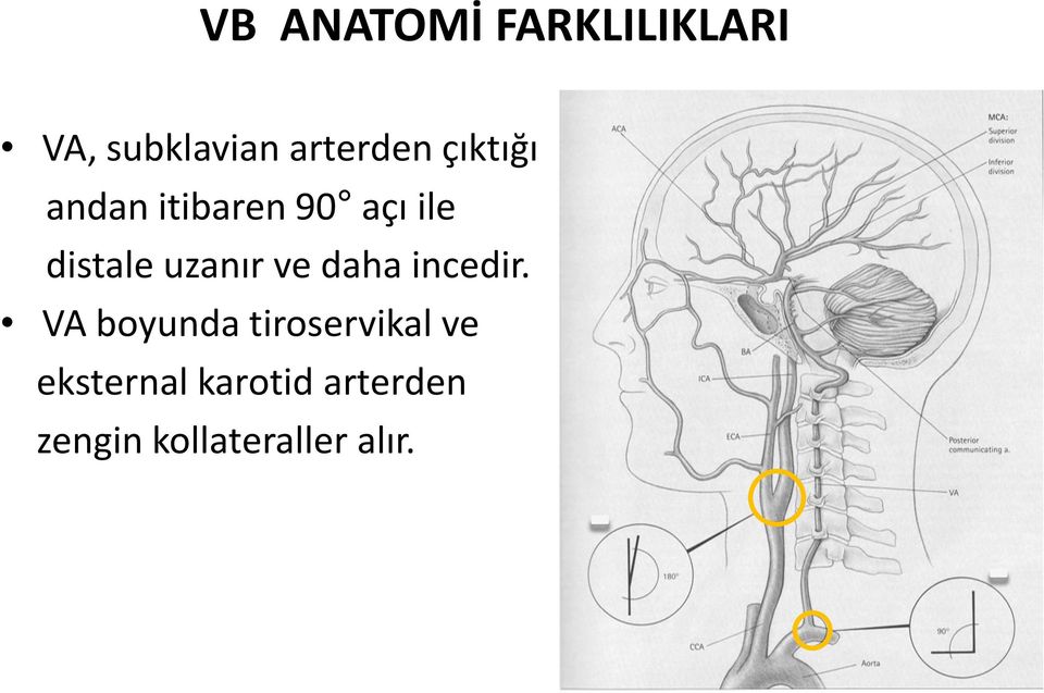 ve daha incedir.