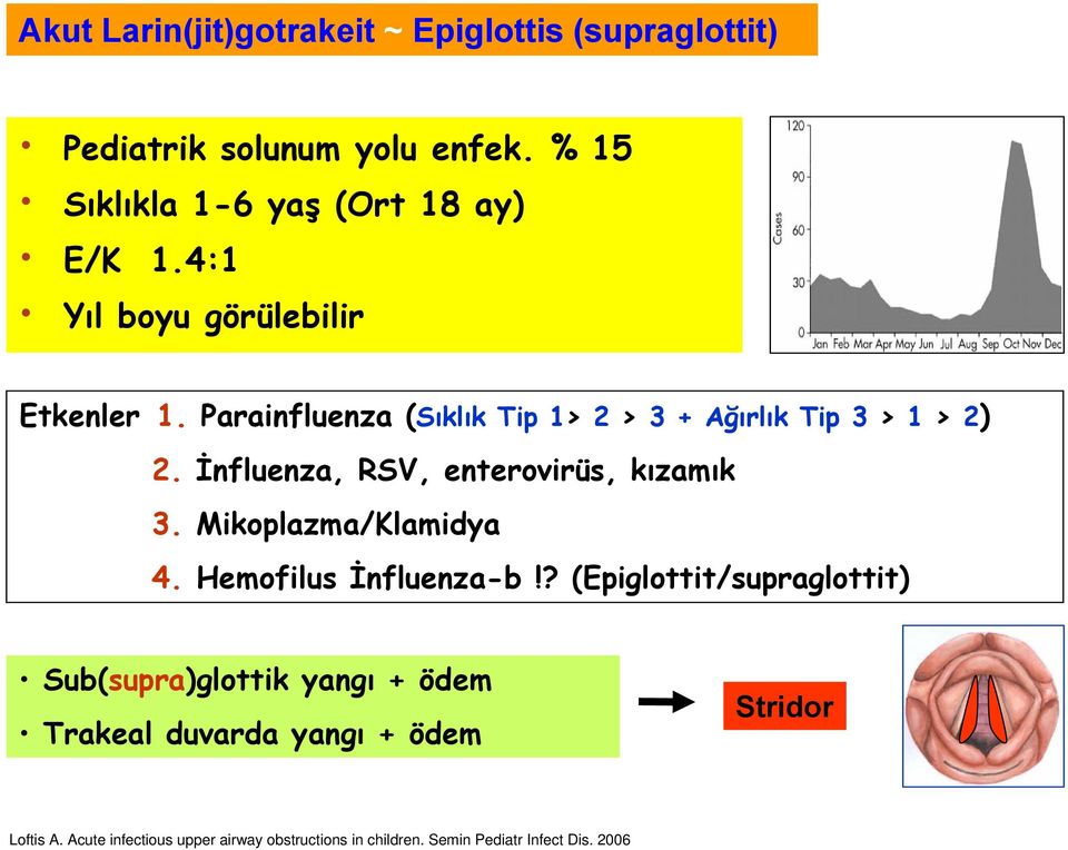 İnfluenza, RSV, enterovirüs, kızamık 3. Mikoplazma/Klamidya 4. Hemofilus İnfluenza-b!