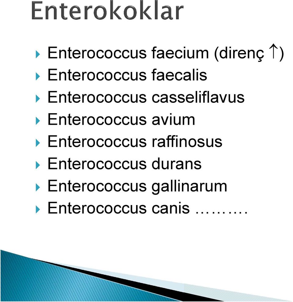 Enterococcus avium Enterococcus raffinosus