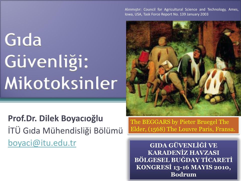 Dilek Boyacıoğlu İTÜ Gıda Mühendisliği Bölümü boyaci@itu.edu.