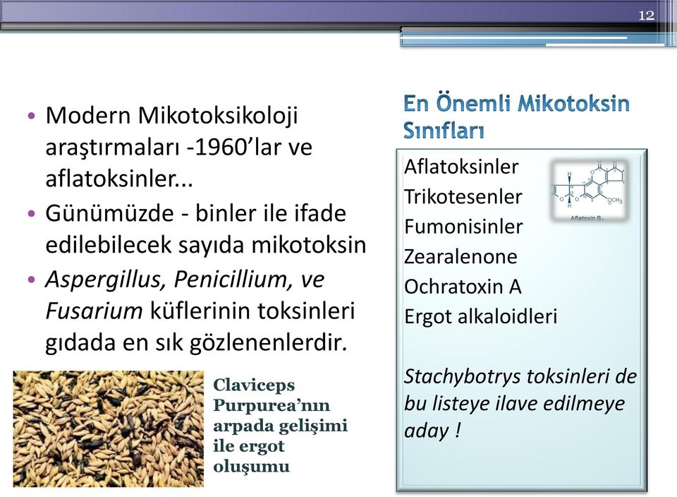 küflerinin toksinleri gıdada en sık gözlenenlerdir.