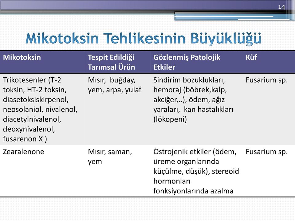 Sindirim bozuklukları, hemoraj (böbrek,kalp, akciğer,..), ödem, ağız yaraları, kan hastalıkları (lökopeni) Fusarium sp.