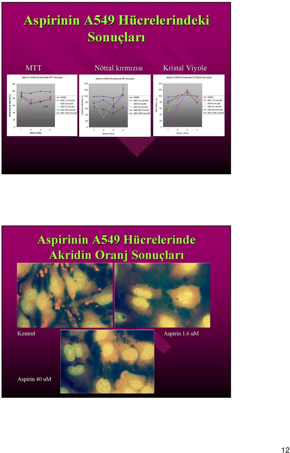 microm Lizozomal Aktivite (%) 1 1 8 6 4 + DMSO ASA 1,6 microm ASA 8 microm ASA 4 microm ASA microm ASA 1 microm DNA Miktarı (%) 1 1 8 6 4 + + + DMSO ASA 1,6