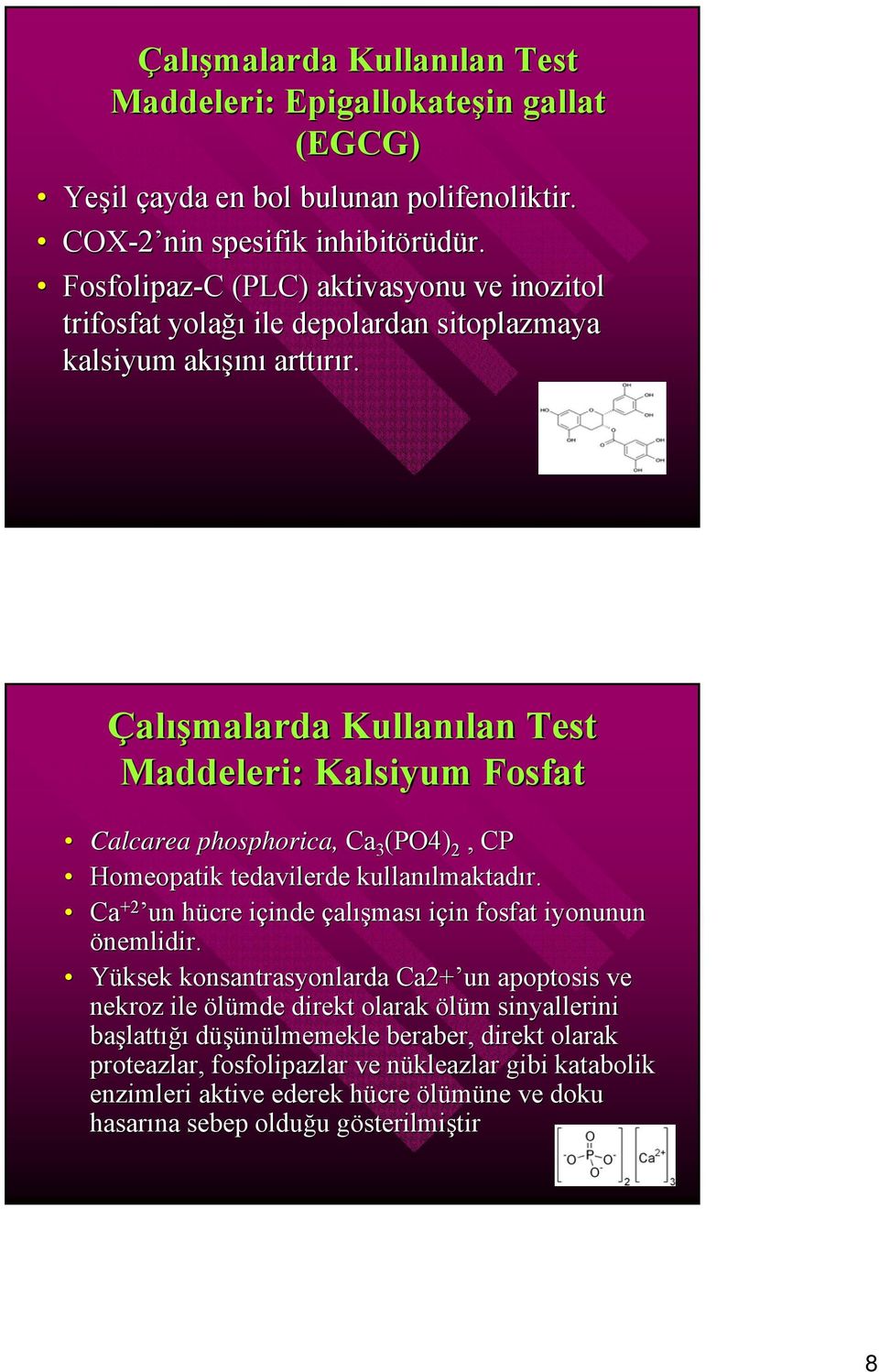 Çalışmalarda Kullanılan Test Maddeleri: Kalsiyum Fosfat Calcarea phosphorica, Ca 3 (PO4) 2, CP Homeopatik tedavilerde kullanılmaktadır.
