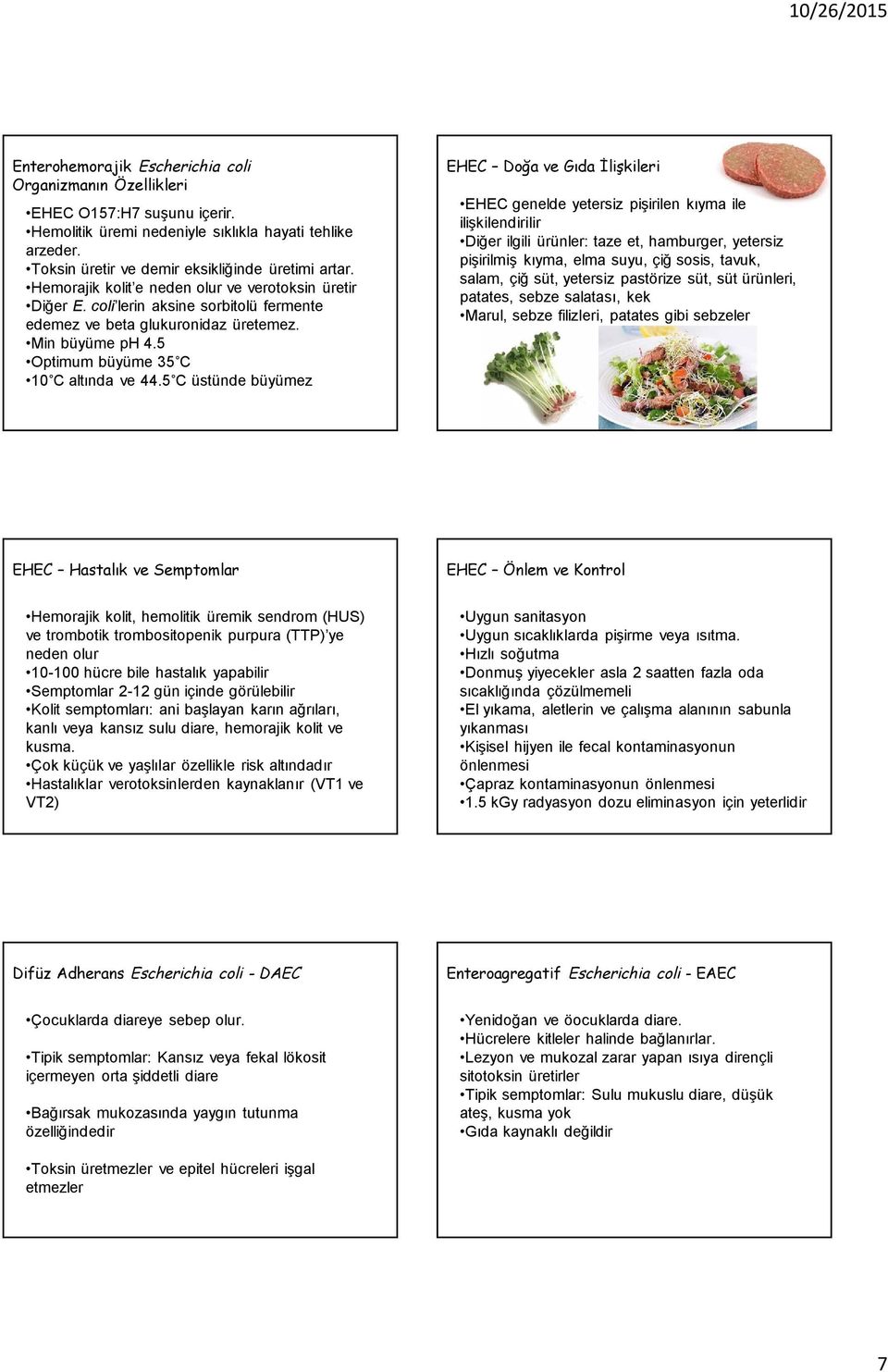 5 C üstünde büyümez EHEC Doğa ve Gıda İlişkileri EHEC genelde yetersiz pişirilen kıyma ile ilişkilendirilir Diğer ilgili ürünler: taze et, hamburger, yetersiz pişirilmiş kıyma, elma suyu, çiğ sosis,