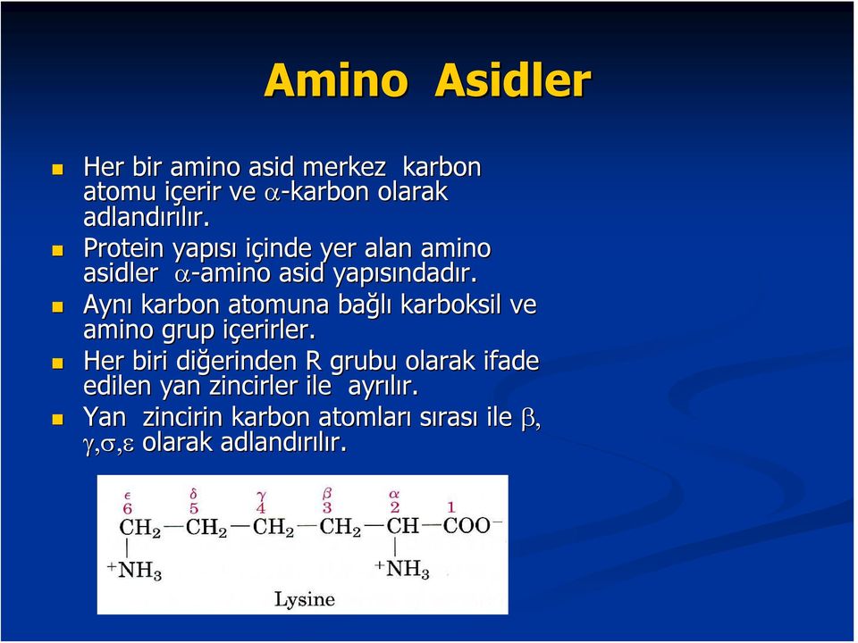 Aynı karbon atomuna bağlı karboksil ve amino grup içerirler.