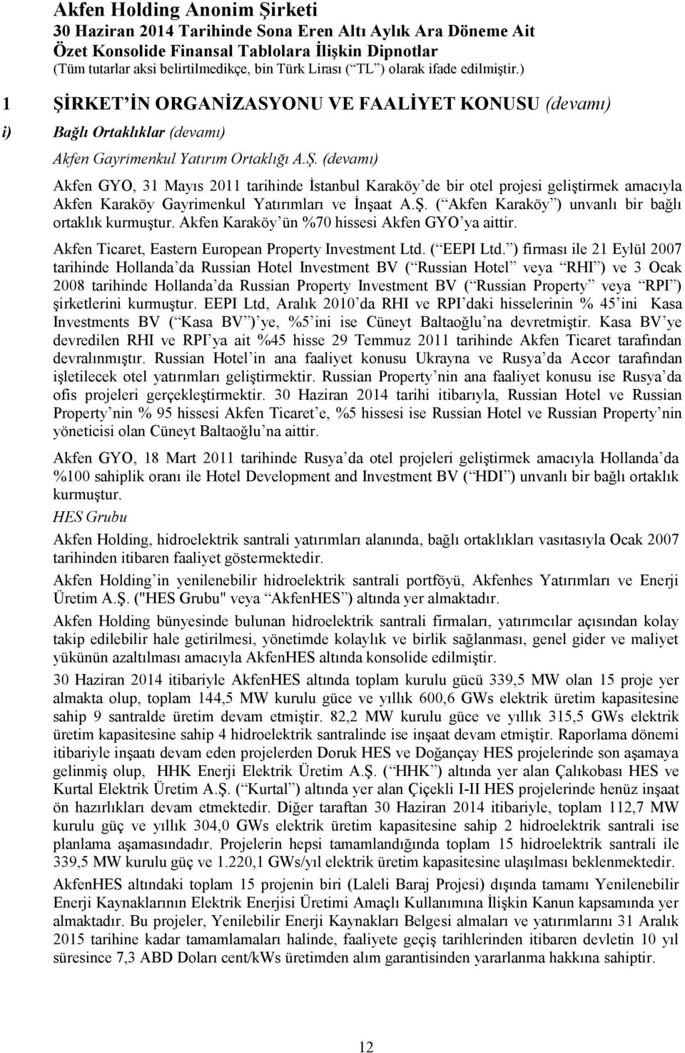 ) firması ile 21 Eylül 2007 tarihinde Hollanda da Russian Hotel Investment BV ( Russian Hotel veya RHI ) ve 3 Ocak 2008 tarihinde Hollanda da Russian Property Investment BV ( Russian Property veya