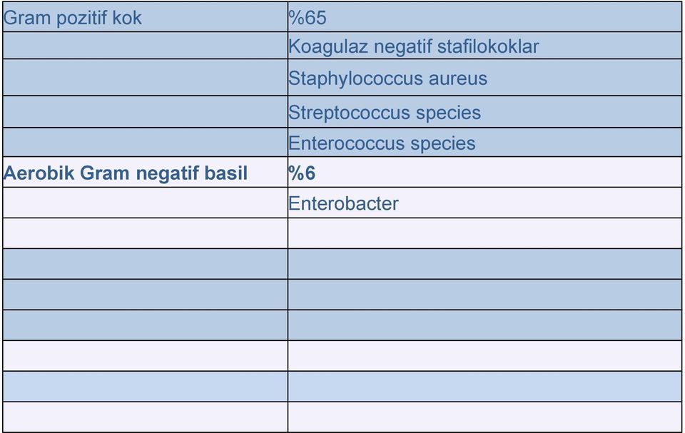 Gram negatif basil %6 Enterobacterıaceae Pseudomonas aeruginosa Anaerobik bakteriler %4