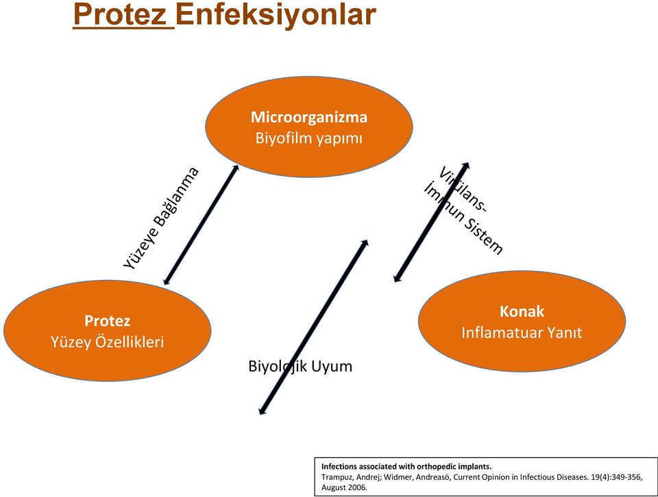 Inflamatuar Yanıt Infections associated with orthopedic implants.