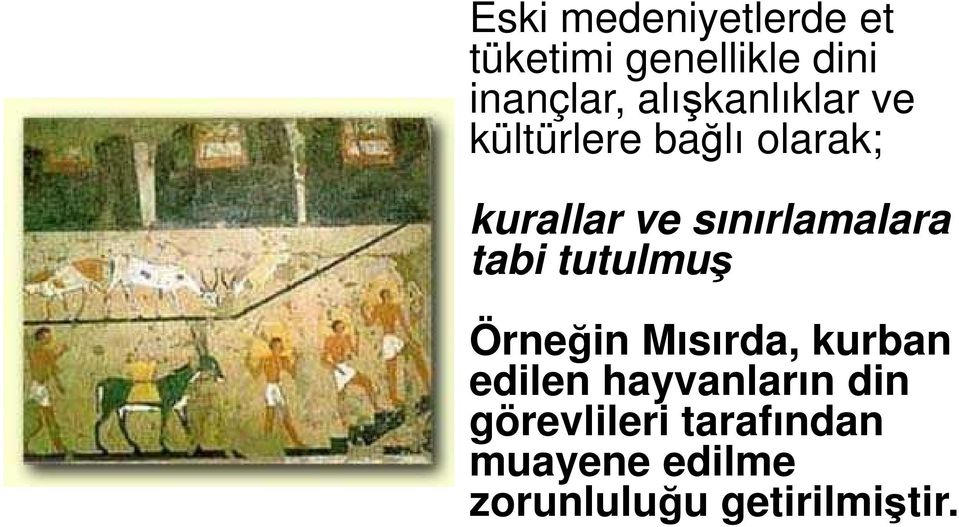 sınırlamalara tabi tutulmuş Örneğin Mısırda, kurban edilen