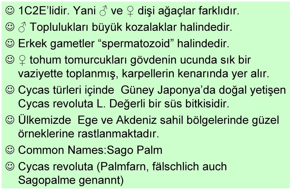 tohum tomurcukları gövdenin ucunda sık bir vaziyette toplanmış, karpellerin kenarında yer alır.