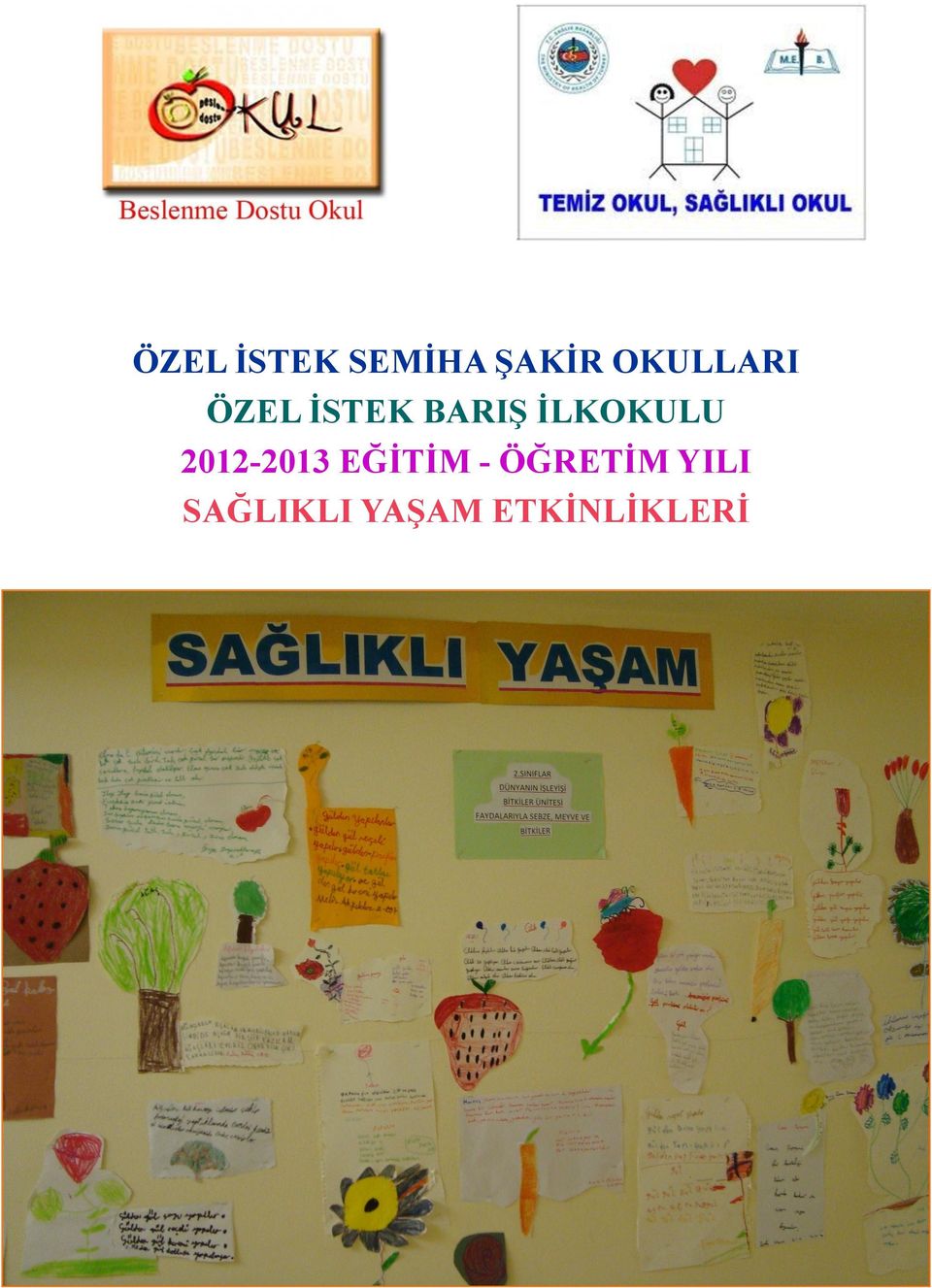 İLKOKULU 2012-2013 EĞİTİM -