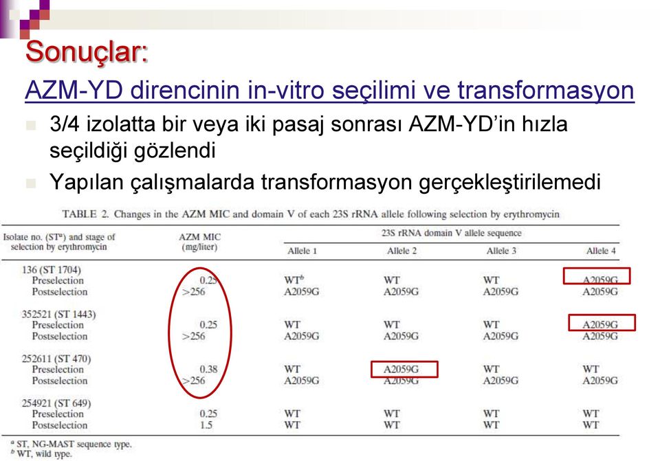 sonrası AZM-YD in hızla seçildiği gözlendi