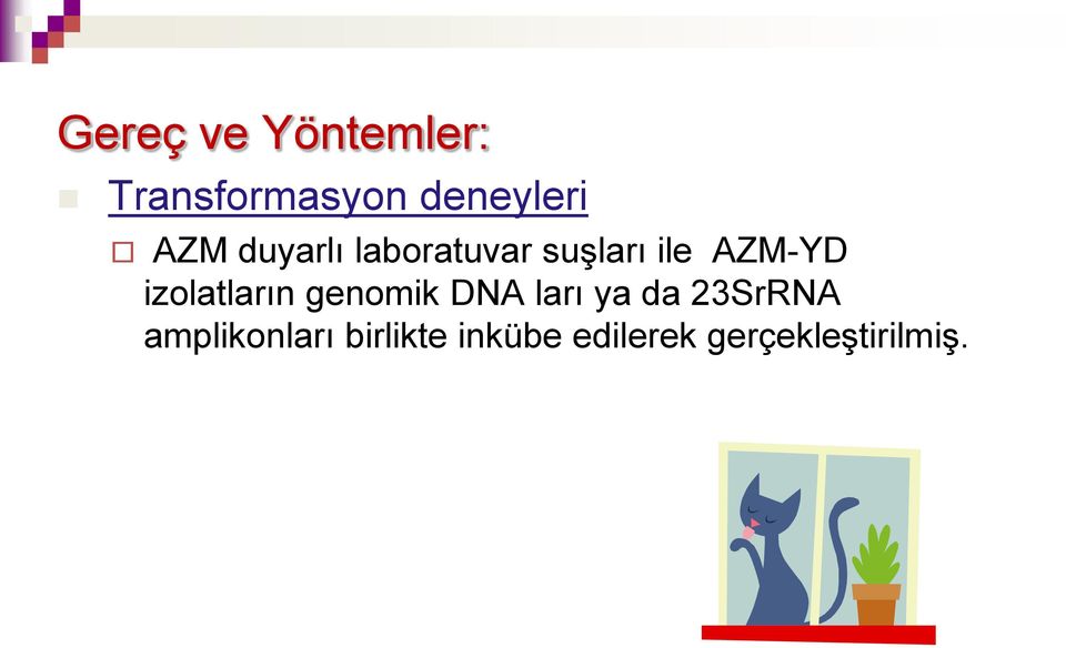 izolatların genomik DNA ları ya da 23SrRNA