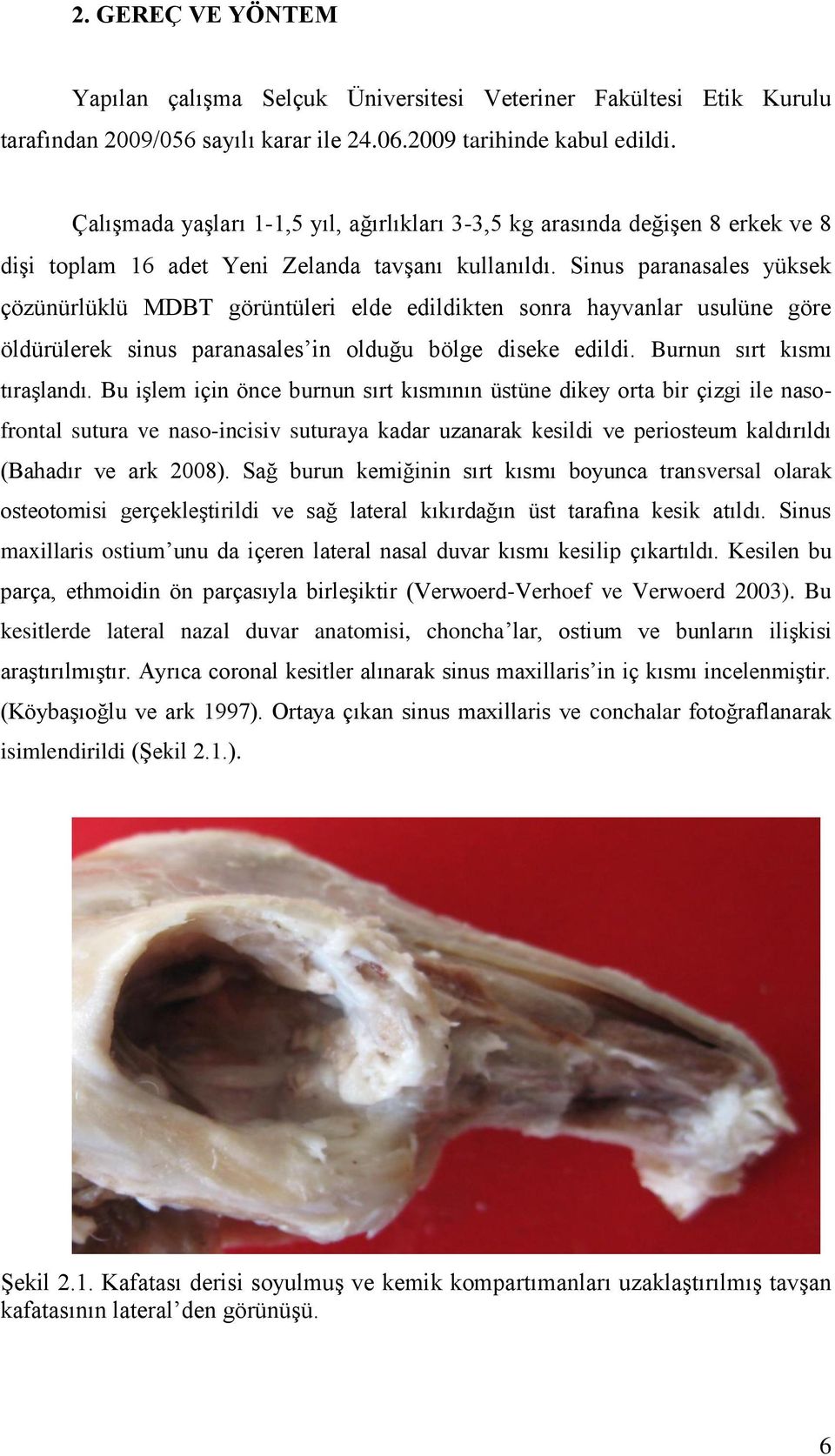 Sinus paranasales yüksek çözünürlüklü MDBT görüntüleri elde edildikten sonra hayvanlar usulüne göre öldürülerek sinus paranasales in olduğu bölge diseke edildi. Burnun sırt kısmı tıraģlandı.