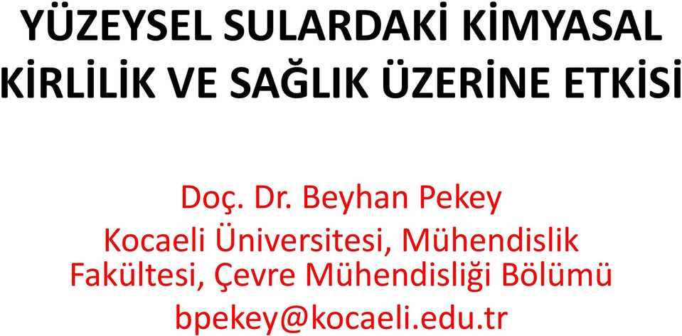 Beyhan Pekey Kocaeli Üniversitesi,
