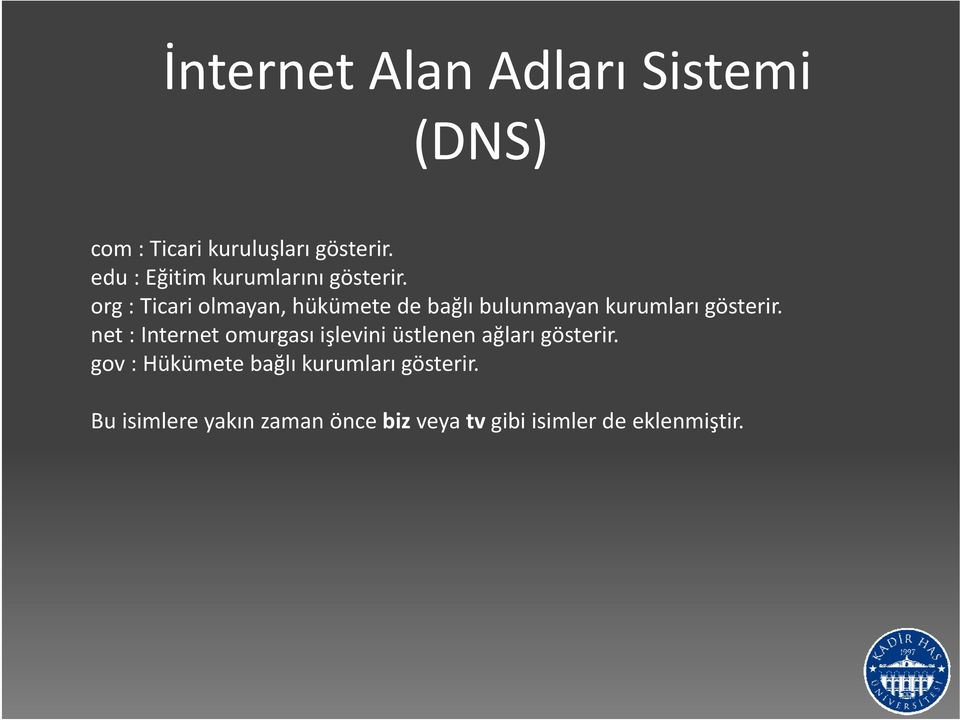 org : Ticari olmayan, hükümete de bağlı bulunmayan kurumları gösterir.