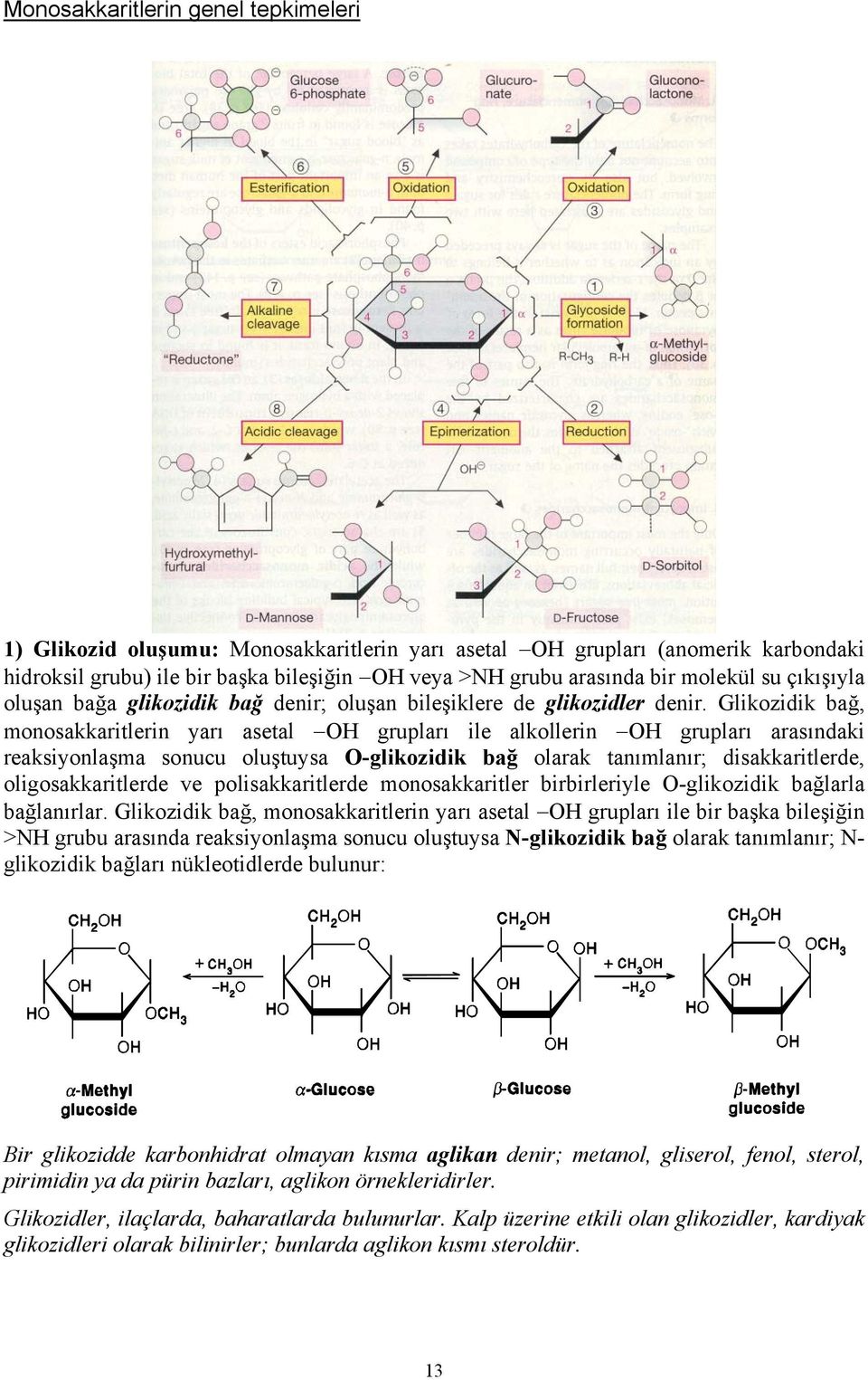 Glikozidik bağ, monosakkaritlerin yarı asetal OH grupları ile alkollerin OH grupları arasındaki reaksiyonlaşma sonucu oluştuysa O-glikozidik bağ olarak tanımlanır; disakkaritlerde, oligosakkaritlerde