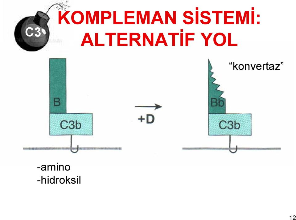 ALTERNATİF YOL