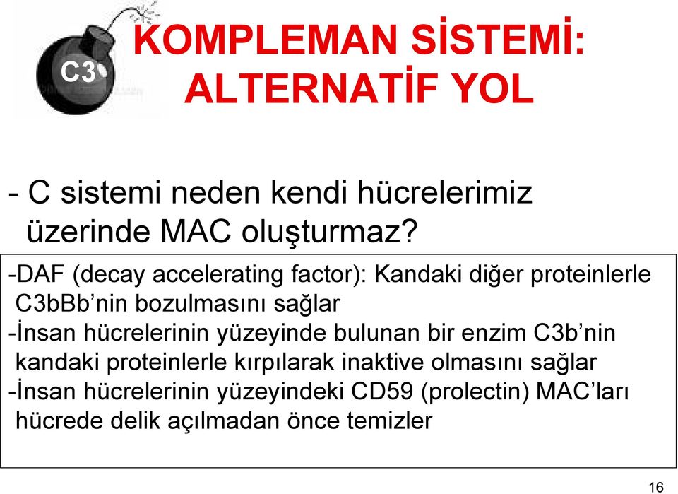 hücrelerinin yüzeyinde bulunan bir enzim C3b nin kandaki proteinlerle kırpılarak inaktive olmasını