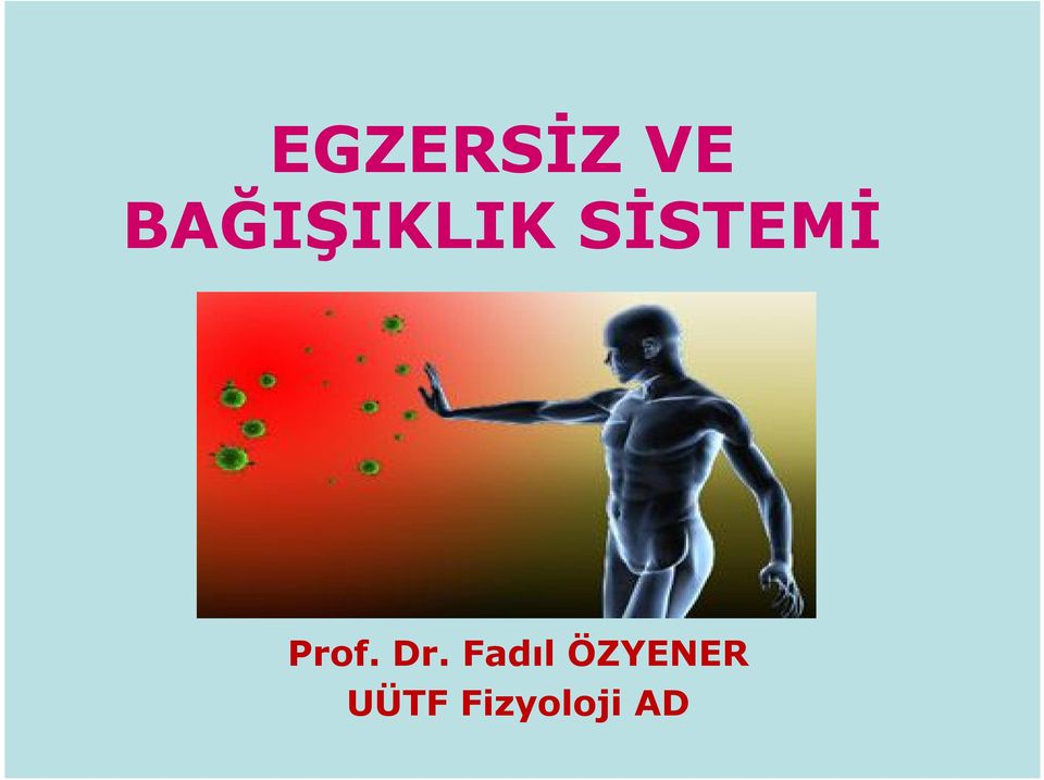 SİSTEMİ Prof. Dr.