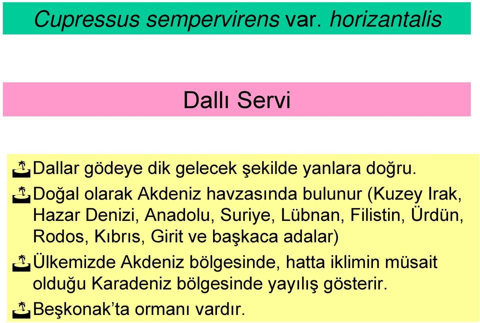 Doğal olarak Akdeniz havzasında bulunur (Kuzey Irak, Hazar Denizi, Anadolu, Suriye, Lübnan,