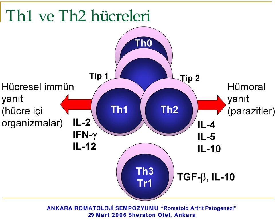 IL-12 Tip 1 Tip 2 Th1 Th2 IL-4 IL-5 IL-10