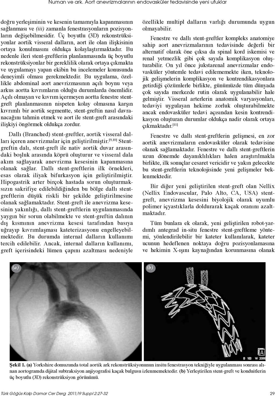 Üç boyutlu (3D) rekonstrüksiyonlar aortik visseral dalların, aort ile olan ilişkisinin ortaya konulmasını oldukça kolaylaştırmaktadır.