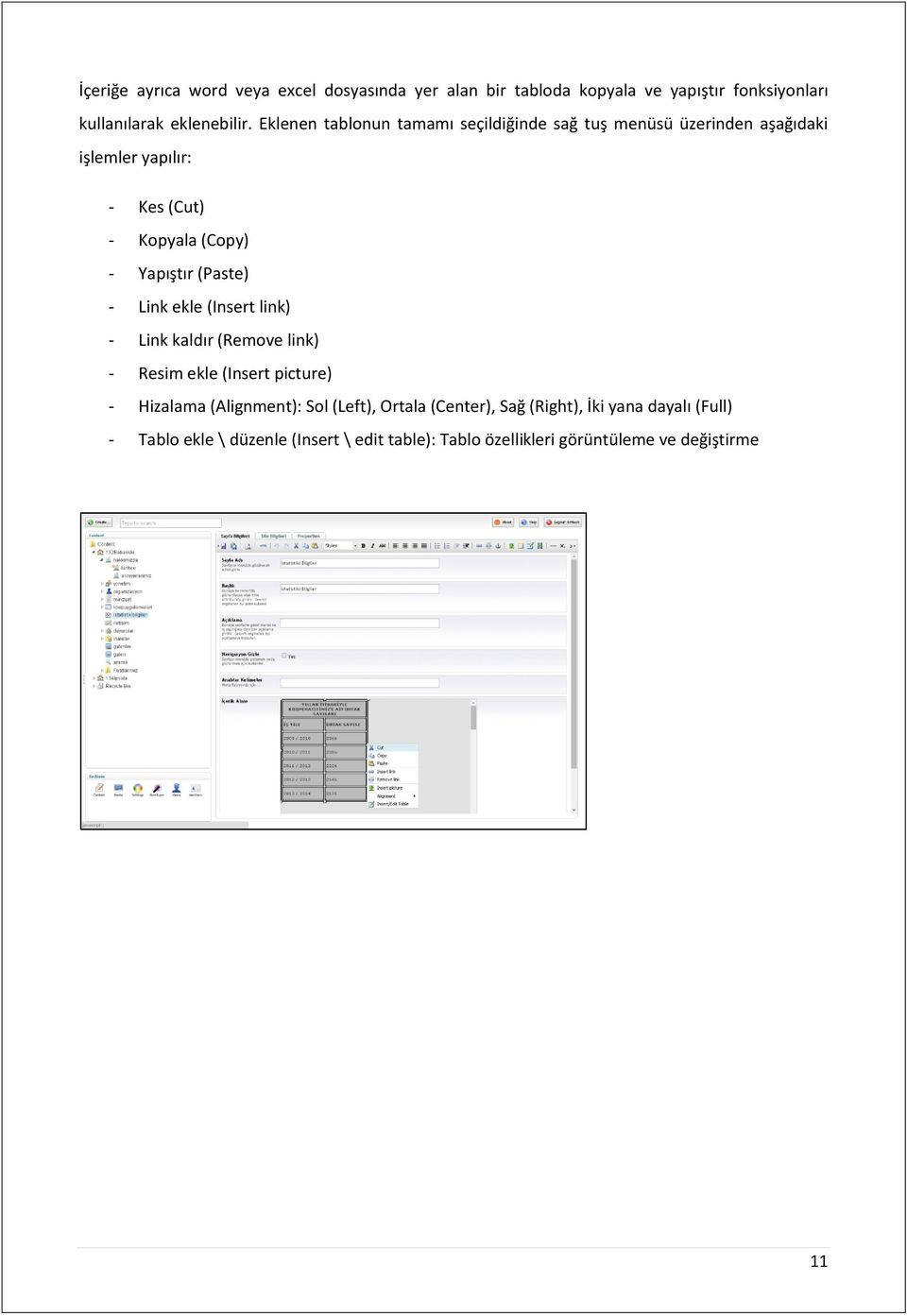 (Paste) - Link ekle (Insert link) - Link kaldır (Remove link) - Resim ekle (Insert picture) - Hizalama (Alignment): Sol (Left),