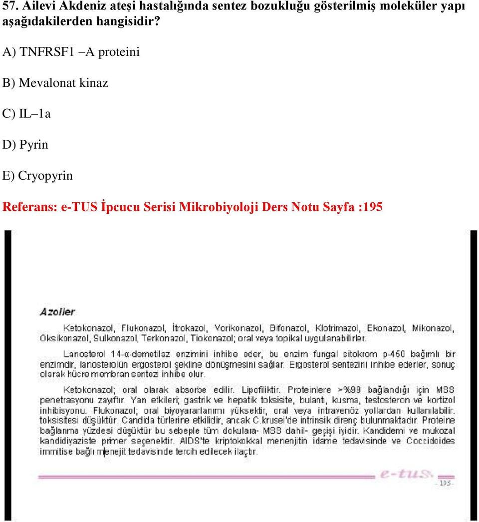 A) TNFRSF1 A proteini B) Mevalonat kinaz C) IL 1a D) Pyrin E)
