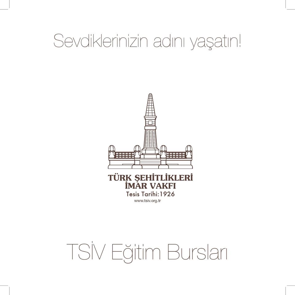 www.tsiv.org.
