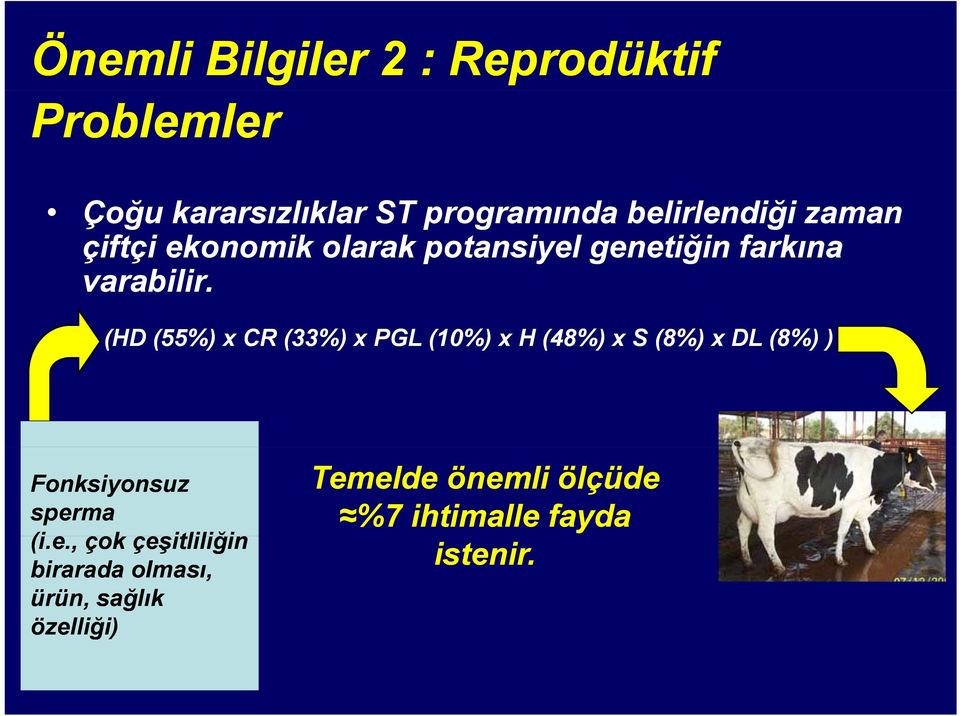 (HD (55%) x CR (33%) x PGL (10%) x H (48%) x S (8%) x DL (8%) ) Fonksiyonsuz sper