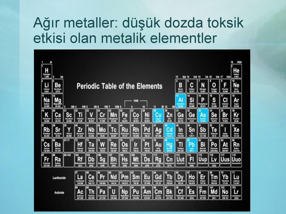 toksik etkisi