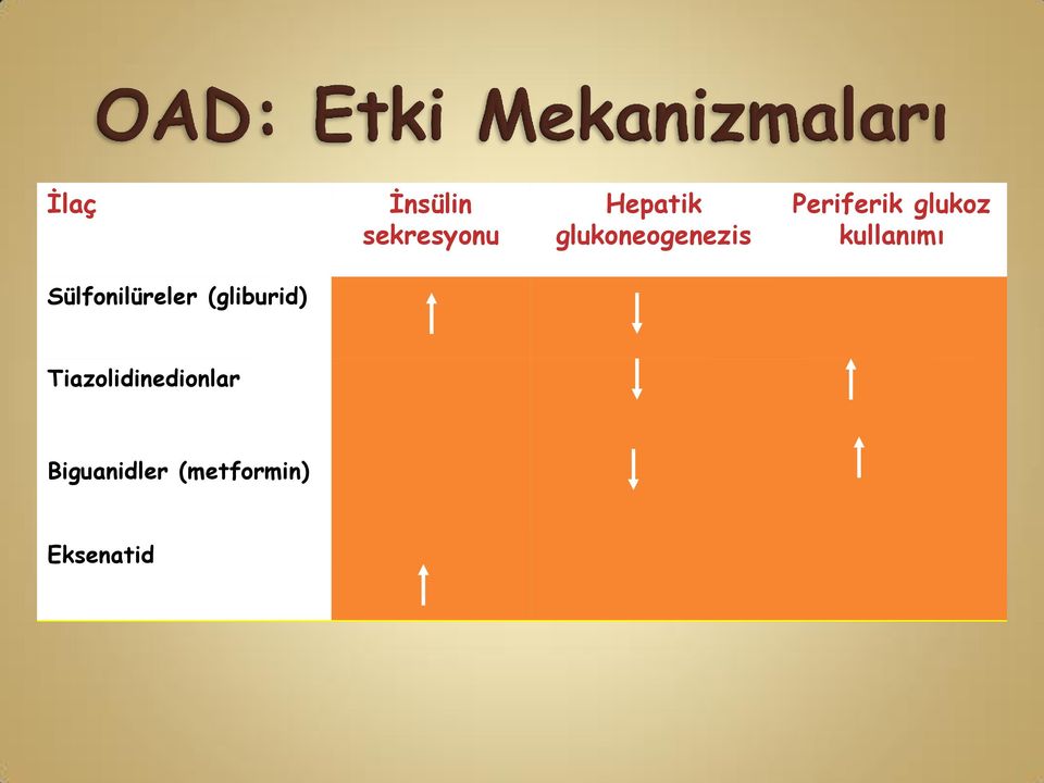 kullanımı Sülfonilüreler (gliburid)