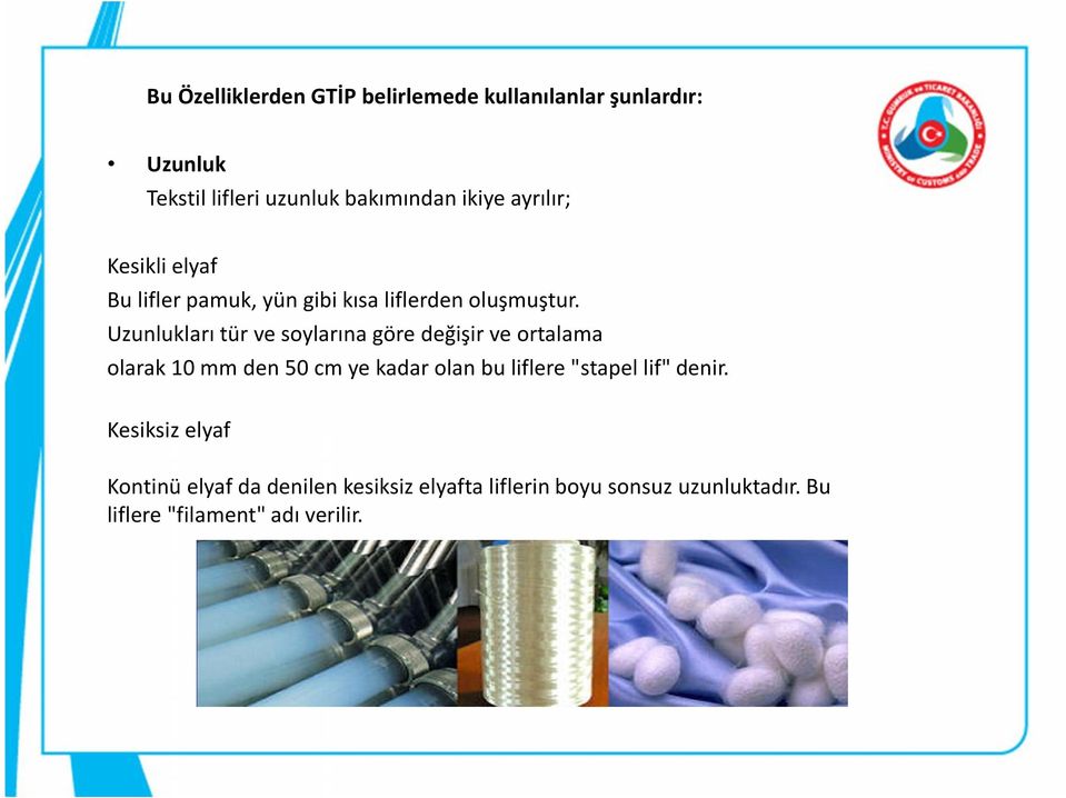 Uzunlukları tür ve soylarına göre değişir ve ortalama olarak 10 mm den 50 cm ye kadar olan bu liflere