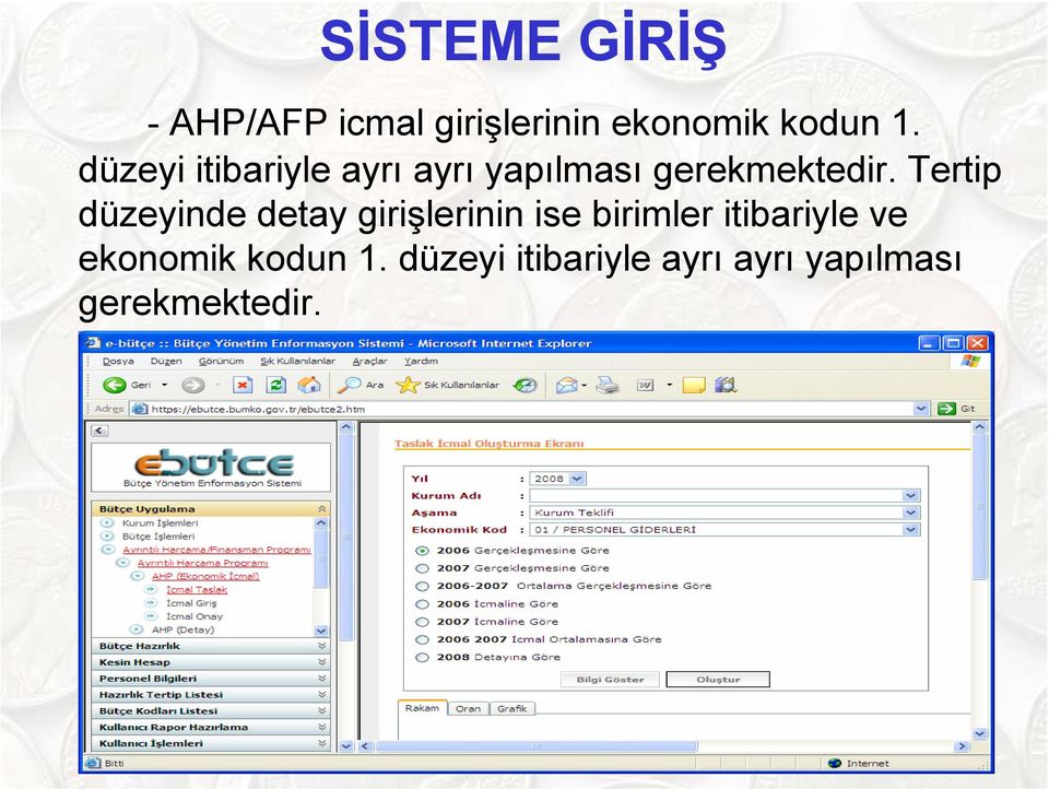 Tertip düzeyinde detay girişlerinin ise birimler itibariyle