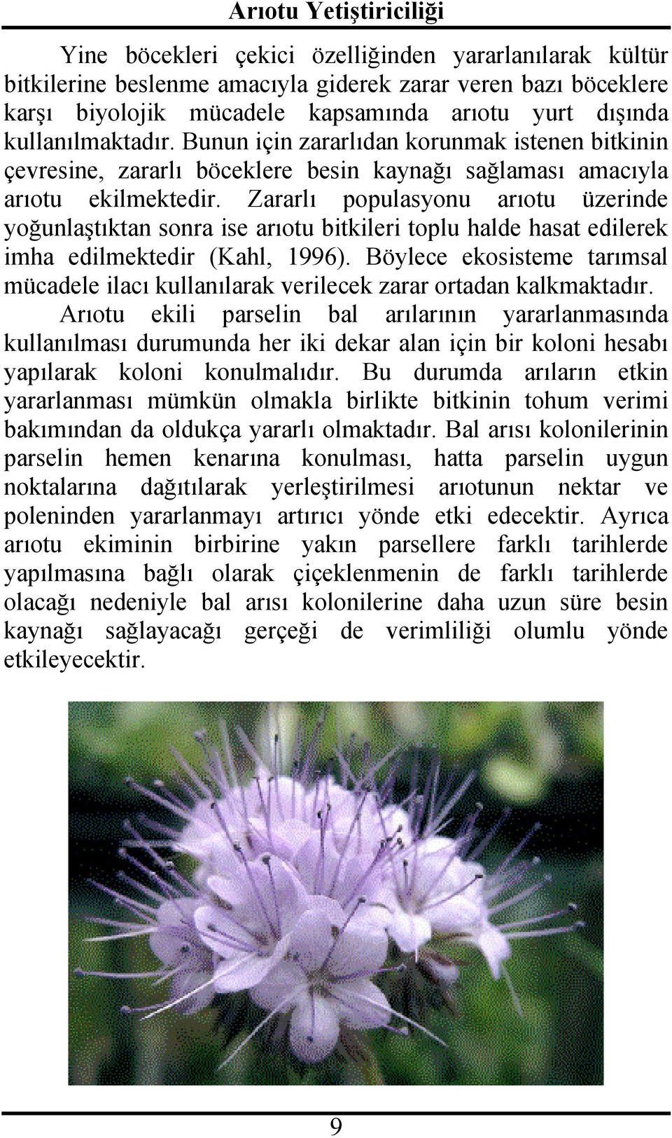 Zararlı populasyonu arıotu üzerinde yoğunlaştıktan sonra ise arıotu bitkileri toplu halde hasat edilerek imha edilmektedir (Kahl, 1996).