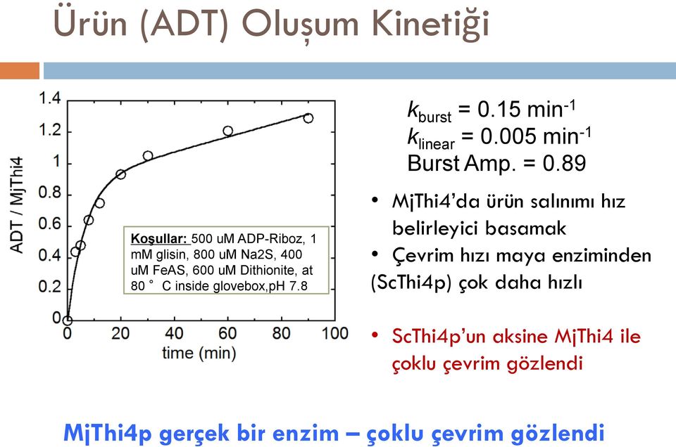 = 0.89 MjThi4 da ürün salınımı hız belirleyici basamak Çevrim hızı maya enziminden (ScThi4p) çok daha
