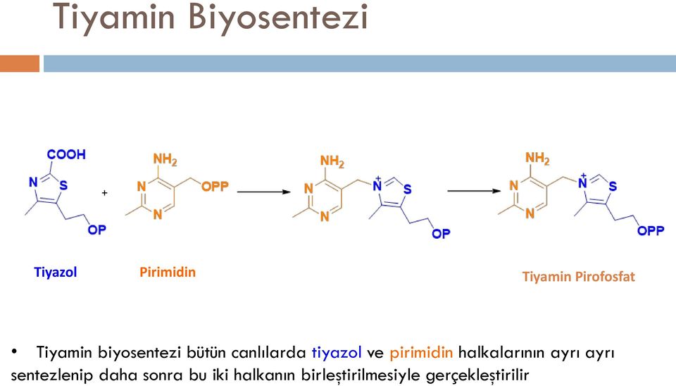 tiyazol ve pirimidin halkalarının ayrı ayrı